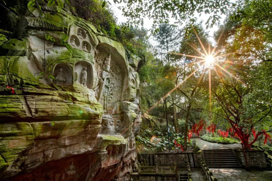 炎炎夏日，泸州这些景区免费、半价(图13)
