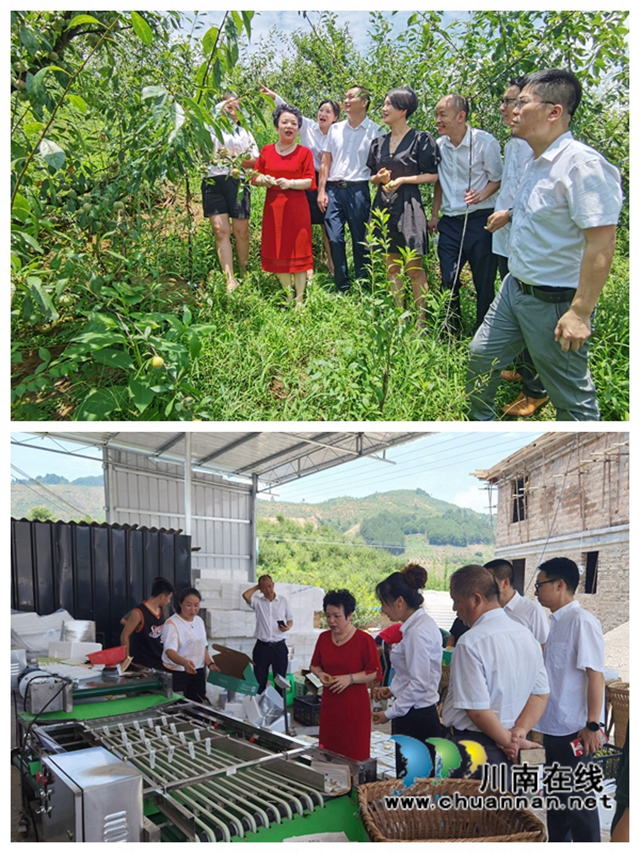 民革泸州市委赴叙永县开展乡村振兴专题调研(图3) 民革泸州市委赴叙永县开展乡村振兴专题调研(图3)