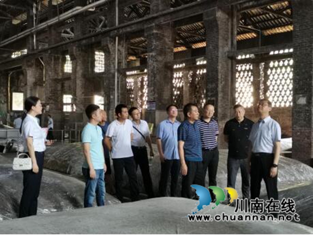王毅一行调研龙马潭区小市街道汛期文物安全
