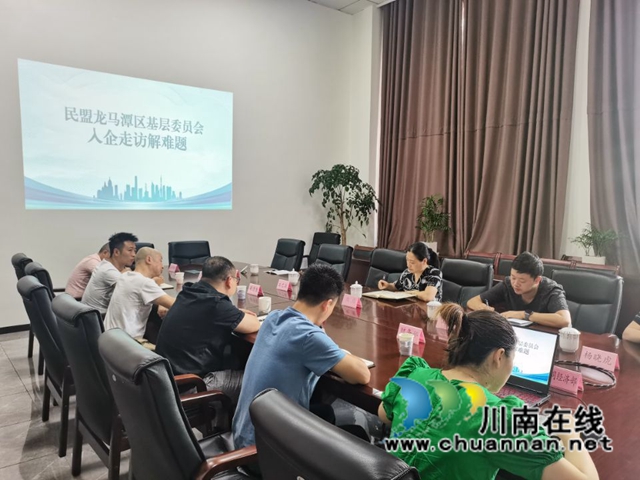 民盟泸州市龙马潭区基层委员会：入企走访解难题