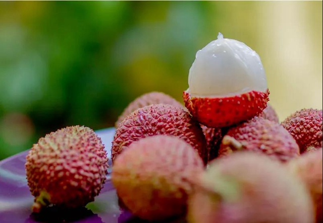 100元一斤的荔枝,泸州女子吃进了医院?(图3) 100元一斤的荔枝,泸州女子吃进了医院?(图3)