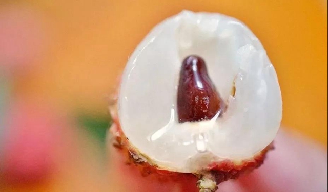 100元一斤的荔枝,泸州女子吃进了医院?(图9) 100元一斤的荔枝,泸州女子吃进了医院?(图9)