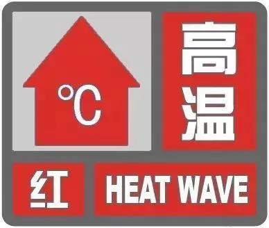 【关注】43℃高温下，被烫死了……(图2)