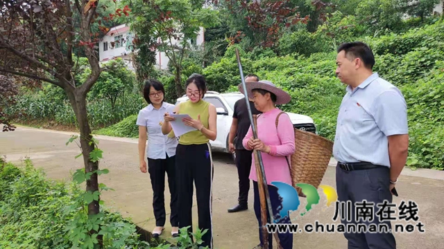 纳溪区行政审批局:做实森林防灭火督查,防患未“燃”(图2) 纳溪区行政审批局:做实森林防灭火督查,防患未“燃”(图2)