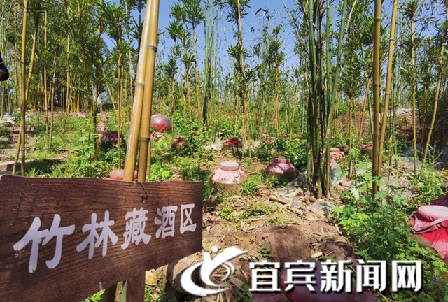 全国乡村旅游重点村镇名单公示！宜宾这个村上榜(图3)