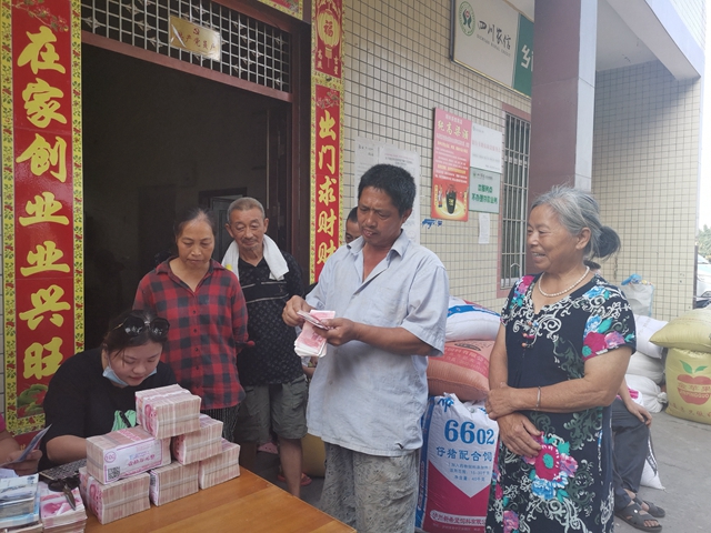 订单种植　泸县方洞镇万亩酿酒高粱收入1600万元！(图5)