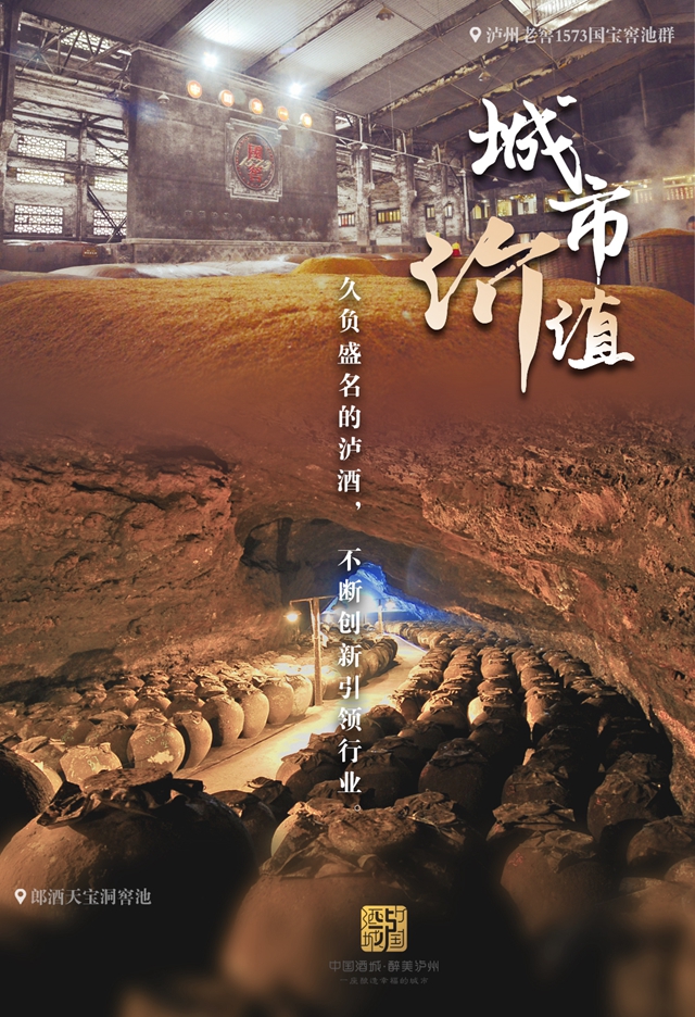 9张海报告诉你，泸州将变成这样一座城市！(图8)