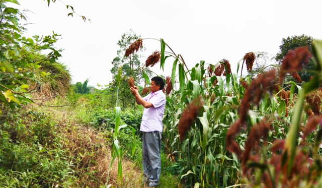 实拍！高温下的龙马人！(图17)