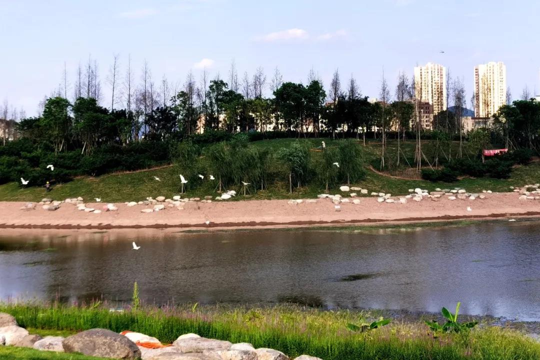 泸县城西龙湖湿地公园带着最新进展拍了拍你