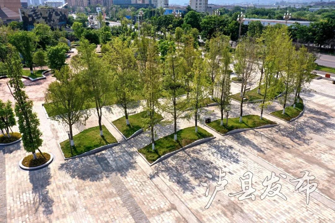 有点好看！泸县城西龙湖湿地公园带着最新进展“拍了拍”你(图6)