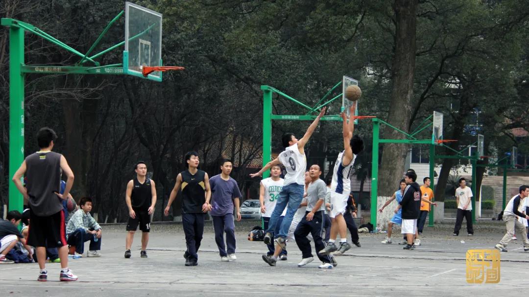 yyds！奥运赛场上的泸州“牛人”(图35)