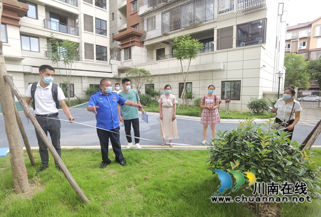 龙马潭区第一批撤桶并点垃圾投放服务站进入场地勘验阶段