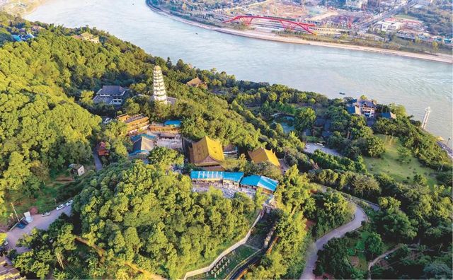 规划面积30公顷！宜宾这个地方将新增一处湿地公园！(图2)