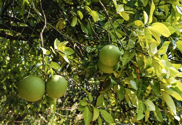 规划面积30公顷！宜宾这个地方将新增一处湿地公园！(图8)