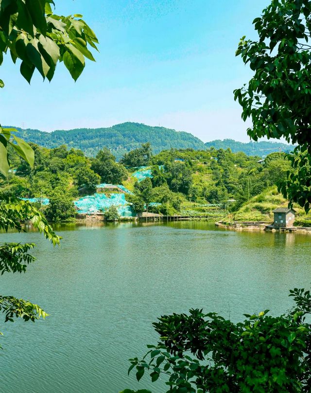 规划面积30公顷！宜宾这个地方将新增一处湿地公园！(图9)