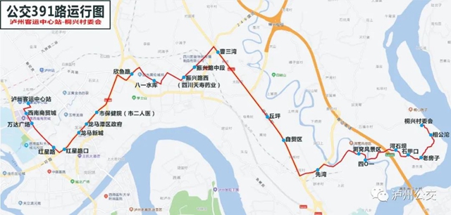 泸州今天新开391路公交，可直达“桐心院子”！(图1)