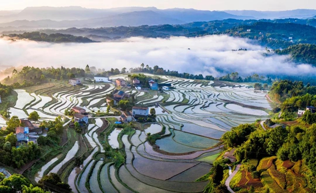 泸州​美景“霸版”《中国摄影报》！20张照片动人心魄(图5)