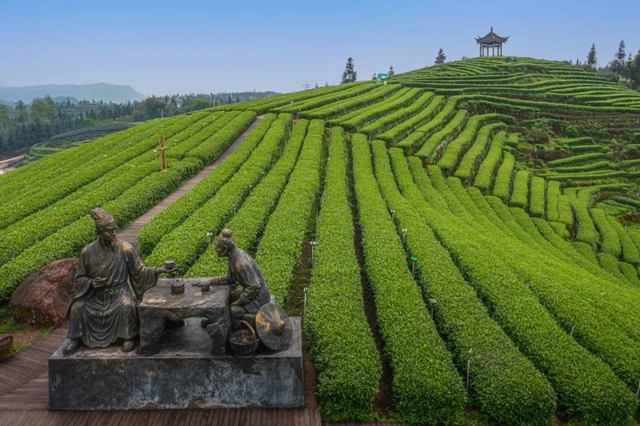 泸州​美景“霸版”《中国摄影报》！20张照片动人心魄(图8)