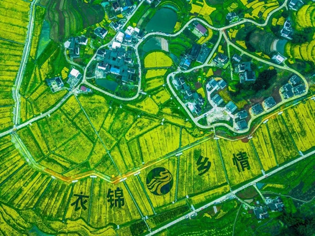 泸州​美景“霸版”《中国摄影报》！20张照片动人心魄(图21)