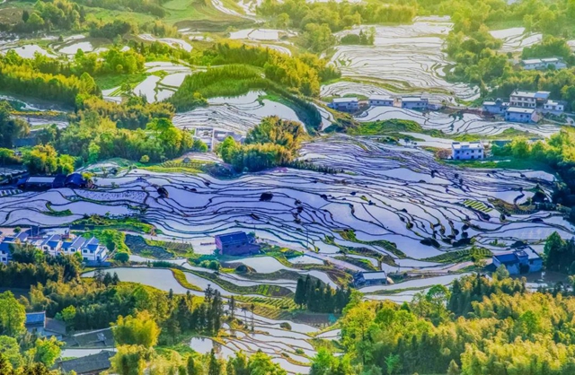 泸州​美景“霸版”《中国摄影报》！20张照片动人心魄(图22)