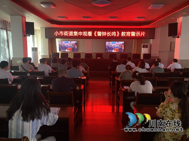 龙马潭区小市街道召开“两代表一委员”换届纪律工作会