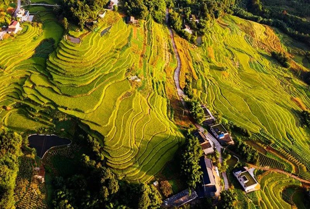 秋收丨叙永：红岩水稻大丰收，满田尽披“黄金甲”(图11)