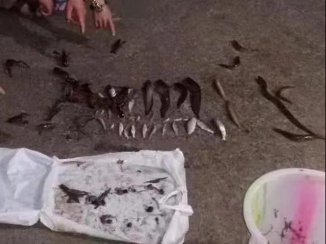 这顿宵夜投得“贵” 叙永四名男子将面临牢狱之灾