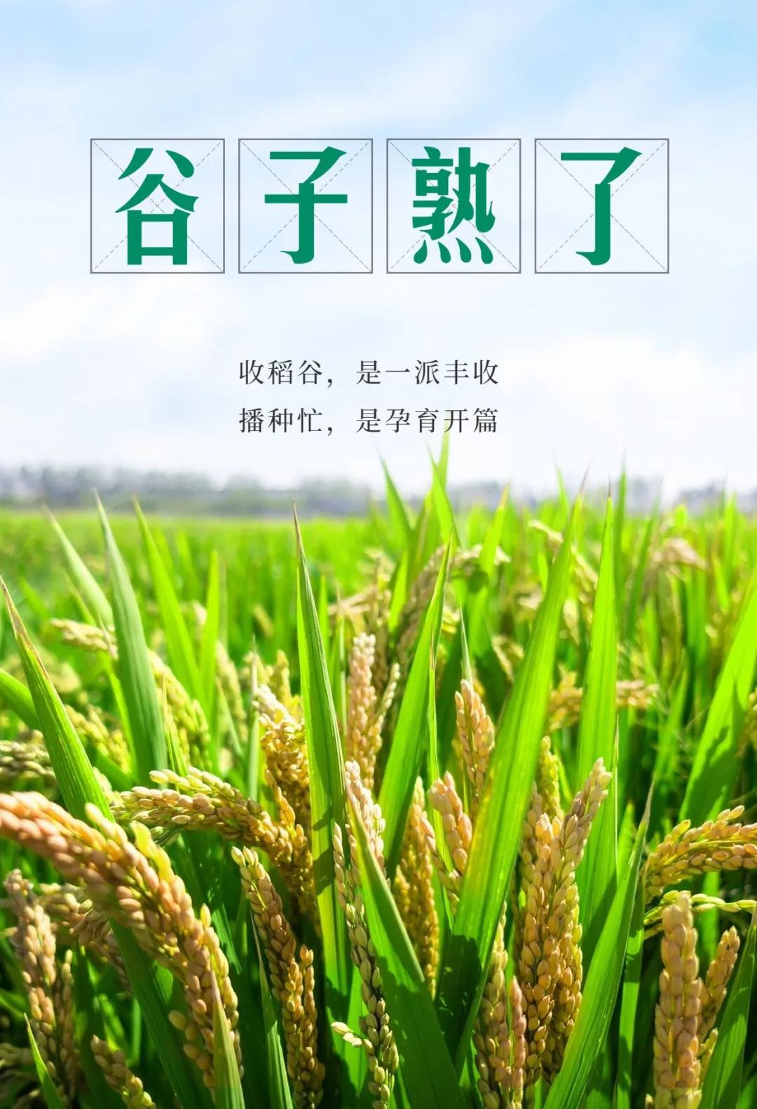 在农村长大的自贡人，赶紧看过来…(图1)