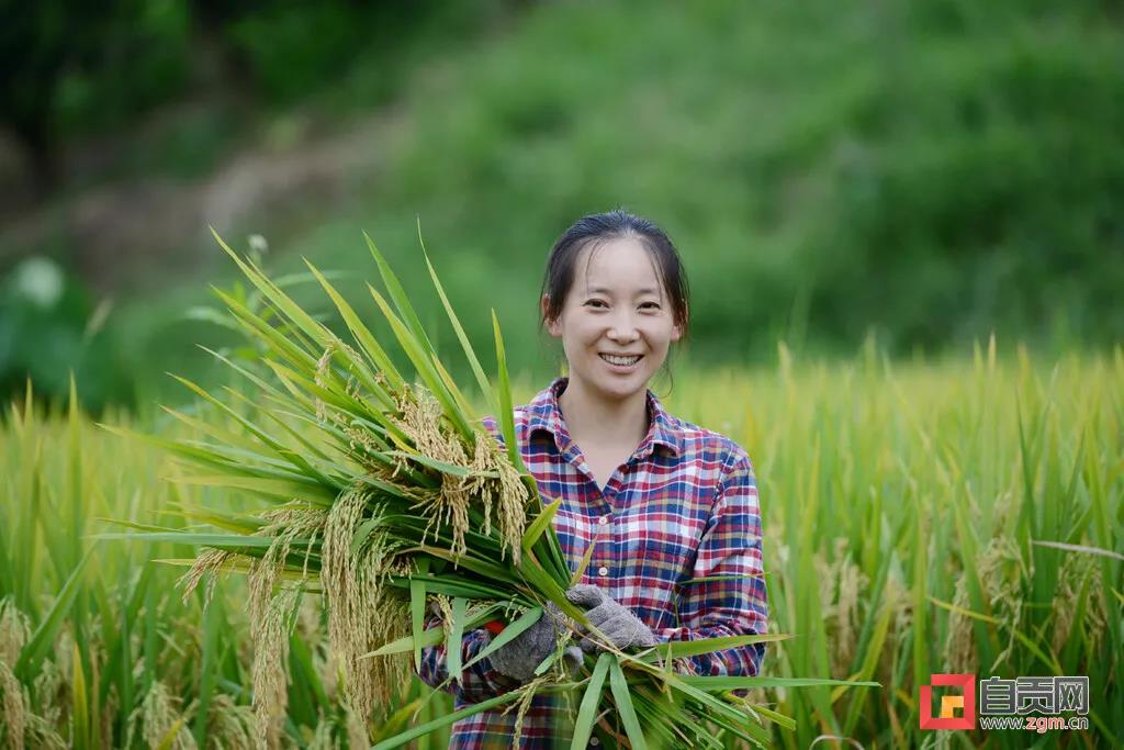 在农村长大的自贡人，赶紧看过来…(图5)