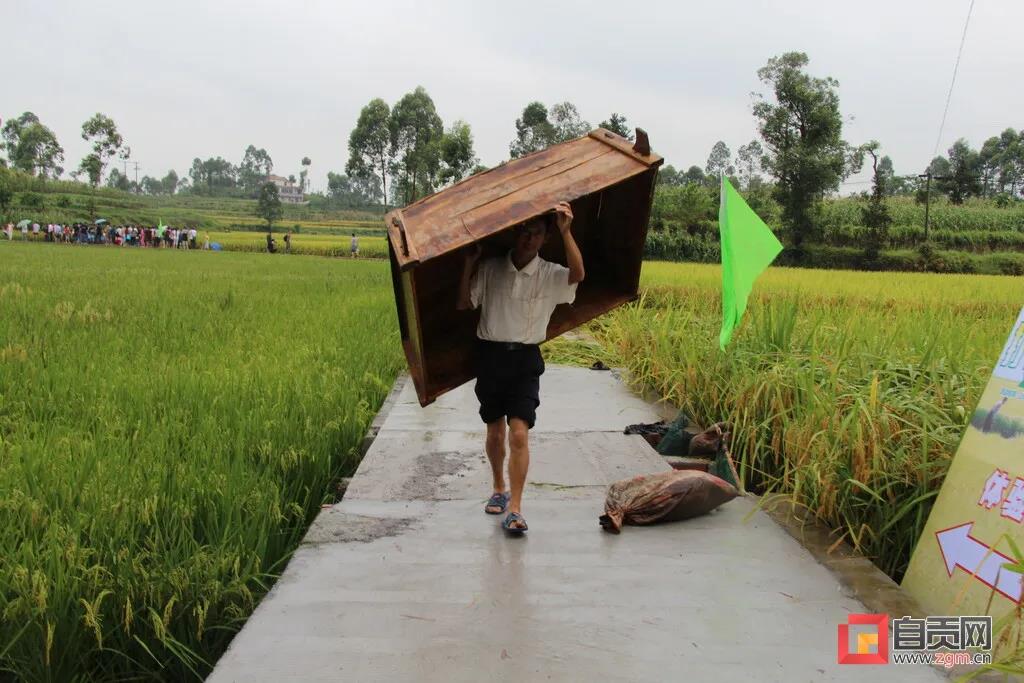 在农村长大的自贡人，赶紧看过来…(图11)