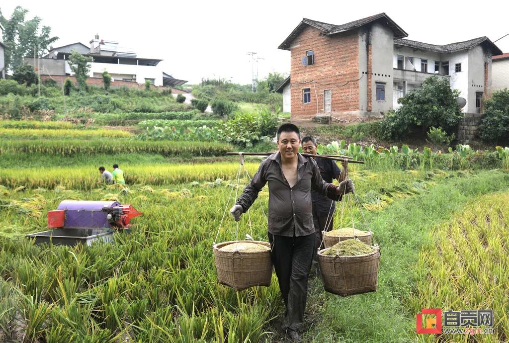 在农村长大的自贡人，赶紧看过来…(图13)