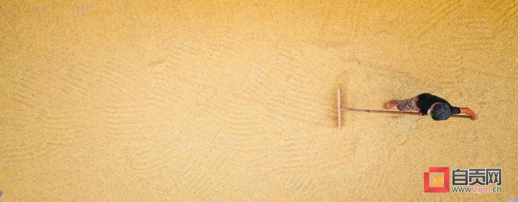 在农村长大的自贡人，赶紧看过来…(图14)