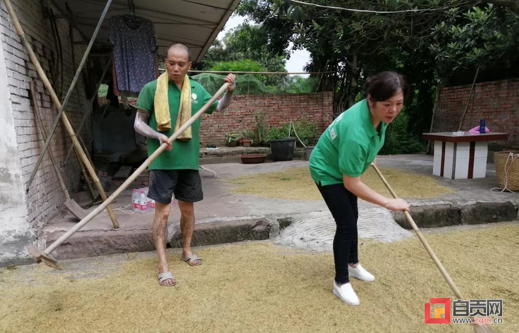 在农村长大的自贡人，赶紧看过来…(图17)