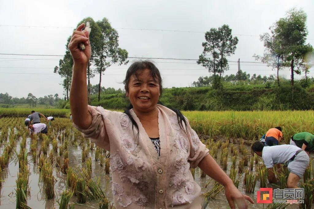在农村长大的自贡人，赶紧看过来…(图16)