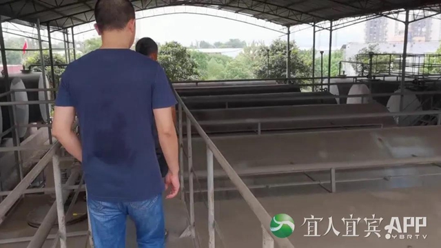 曝光!宜宾、泸州市场每月流入数千吨“歪油”!7人已被抓……(图16) 曝光!宜宾、泸州市场每月流入数千吨“歪油”!7人已被抓……(图16)