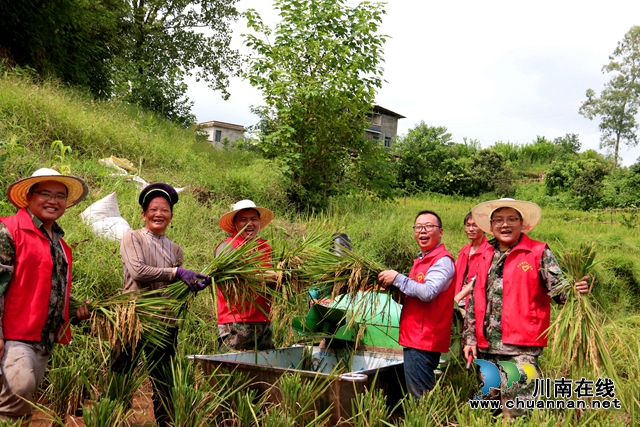 办实事 泸县潮河镇志愿者服务队助农秋收忙(图7)