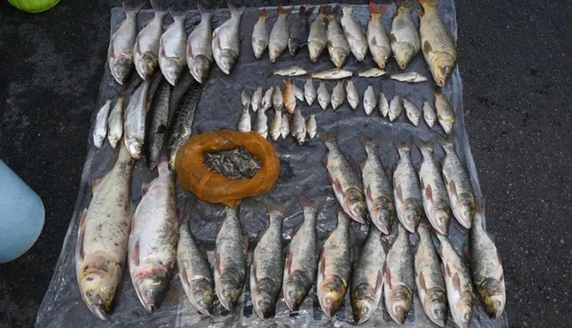 泸州两起公安部督办案件均因非法捕鱼(图6)