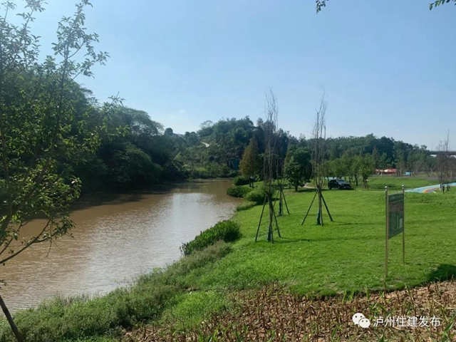 泸州龙涧溪公园竣工验收(图4)