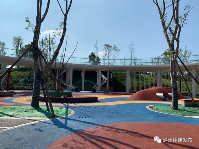 泸州龙涧溪公园竣工验收(图2)