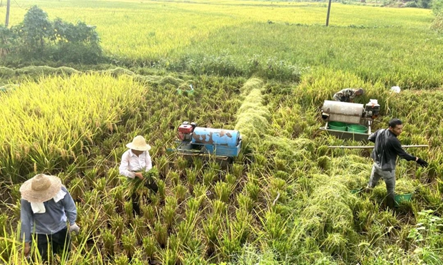 泸州福欣医院连续五年开展“上山下乡助农秋收”活动！(图1)