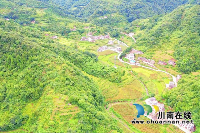 古蔺县彰德街道:大户带小户共走致富路(图3) 古蔺县彰德街道:大户带小户共走致富路(图3)