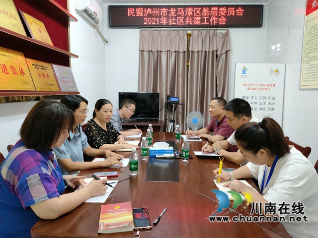 民盟泸州市龙马潭区基层委员会：合谋共建，服务社区