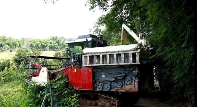 神操作！合江这里的稻谷从收割到上餐桌仅需一天！(图6)