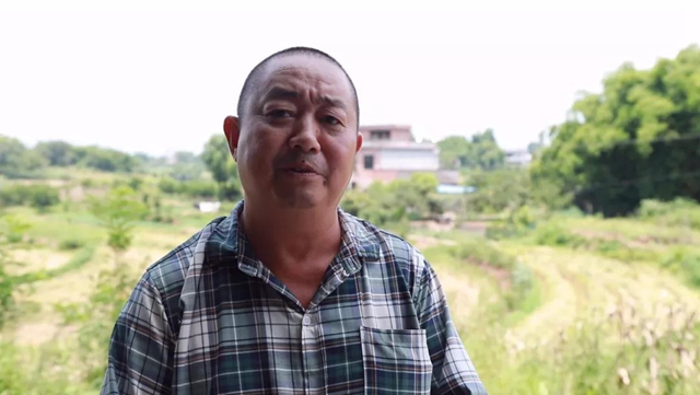 神操作！合江这里的稻谷从收割到上餐桌仅需一天！(图8)