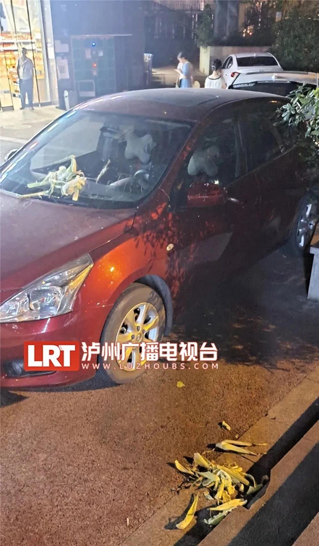 因场地被挡，泸州这群广场舞大妈竟对车辆下手了！