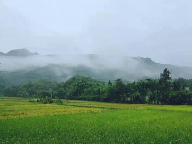 重点帮扶！宜宾这100个村即将迎来大发展，快看有你家乡吗？