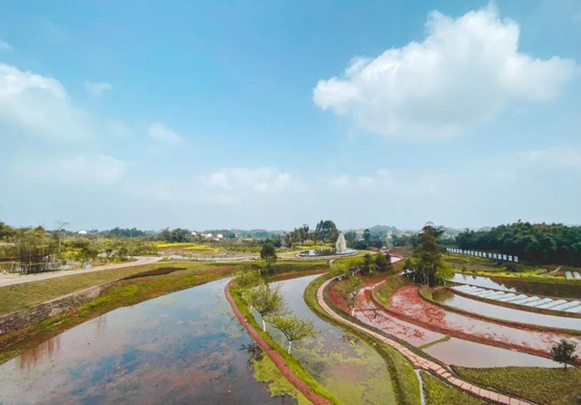 重点帮扶！宜宾这100个村即将迎来大发展，快看有你家乡吗？(图3)