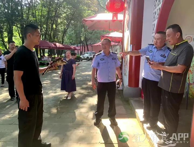 惊！宜宾一市民捡到“怪鸟”，眼神犀利像老鹰，民警对比发现竟是……(图2)