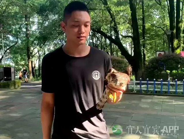惊！宜宾一市民捡到“怪鸟”，眼神犀利像老鹰，民警对比发现竟是……(图3)