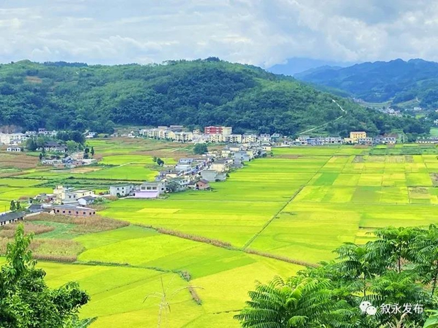 荷花、稻田、云卷云舒，在叙永落卜云山坝，总有一样打动你！(图9)